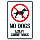 No Dogs Except Guide Dogs Sign