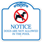 Notice Dogs Are Not Allowed In The Pool Sign Notice Dogs Are Not Allowed In The Pool Sign